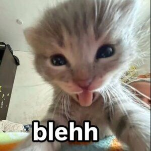 Meet your Posher, Lee